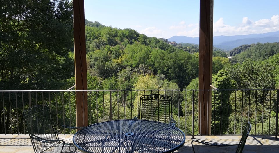 ... and comfortable sprung dining chairs on the covered poolside dining terrace.
