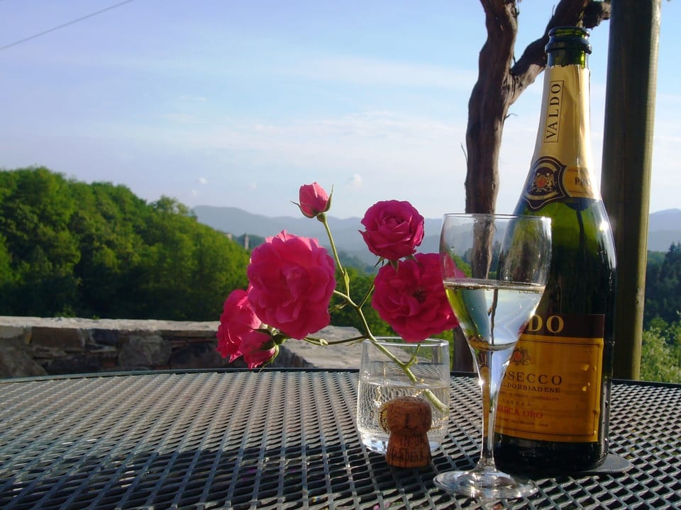 ... or a midday aperitif." (Guest 2018)