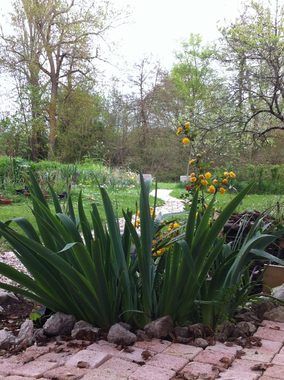 The path leading to the stream.