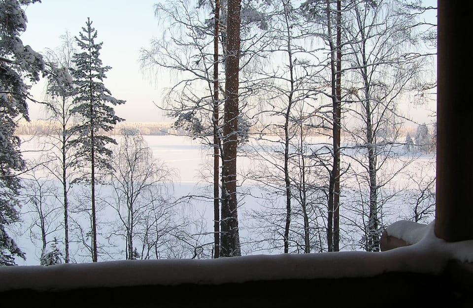 A view from Main house .
