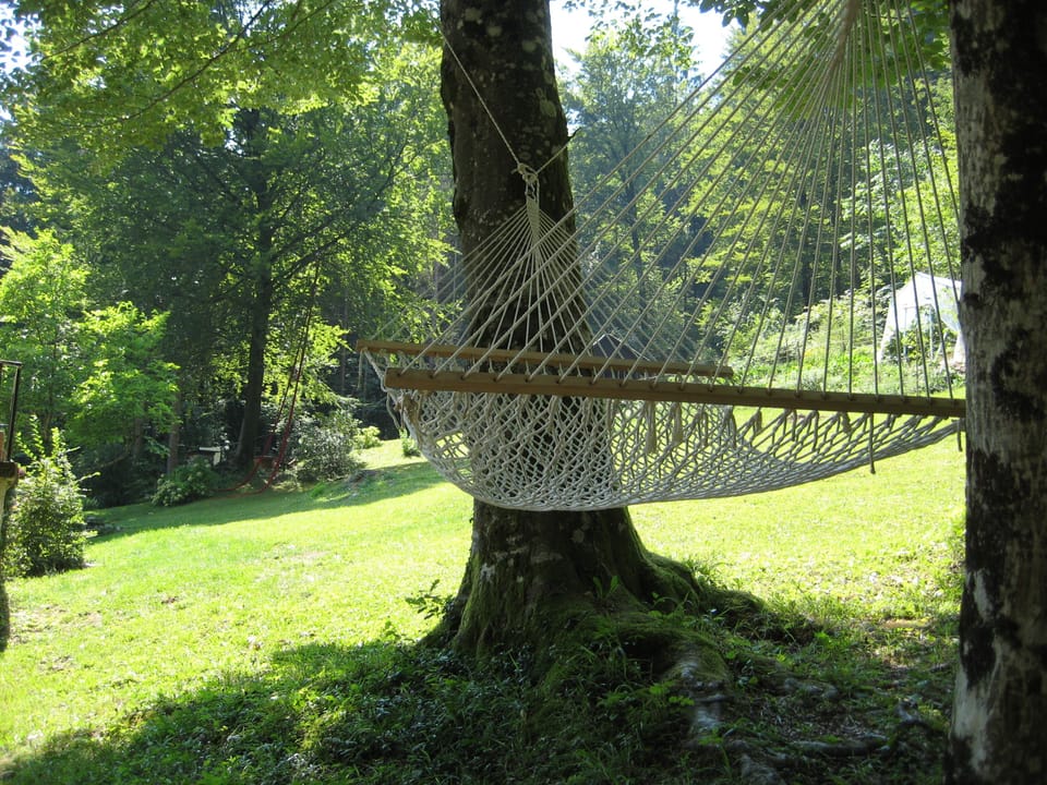 A hammock for two in a shadow of the beech tree.