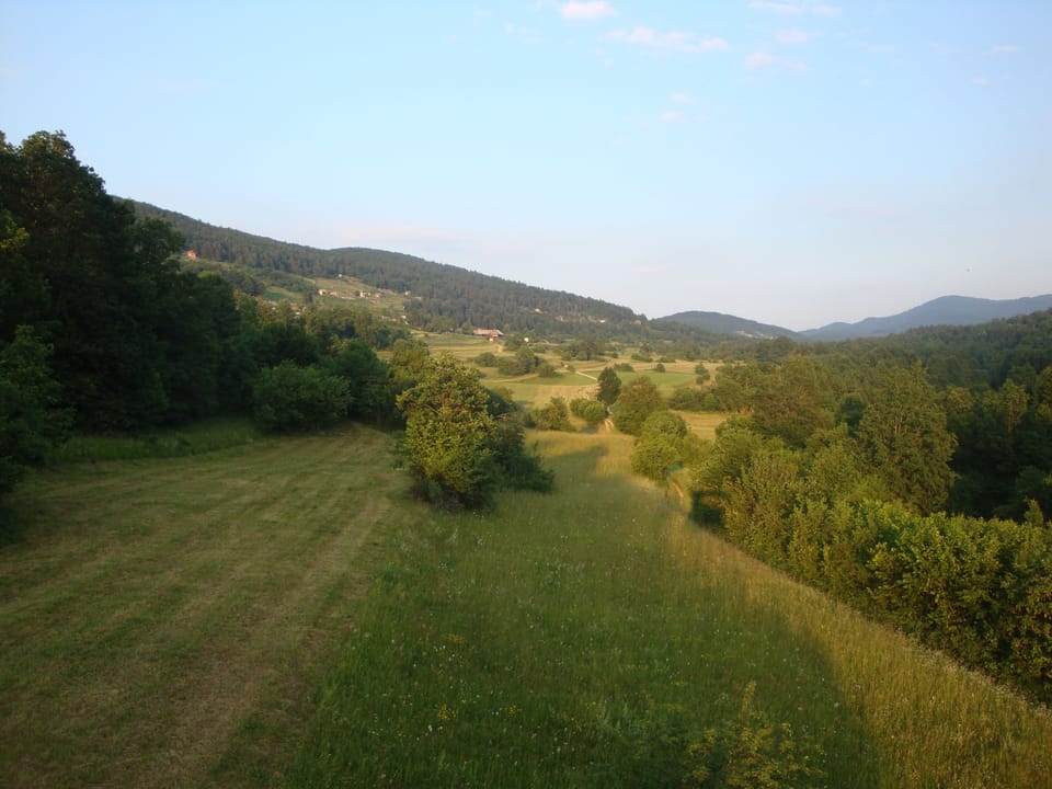 surroundings