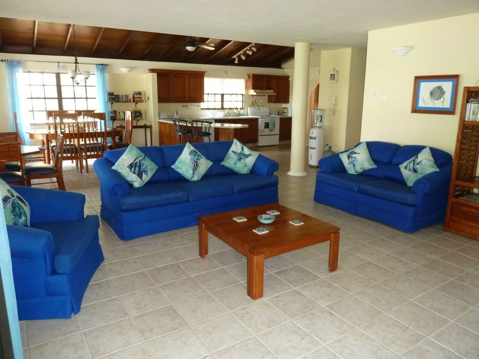 Living room with kitchen/dining area
