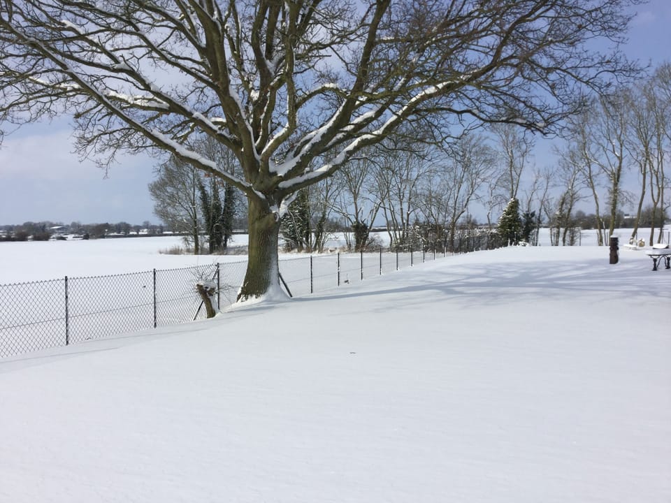 Christmas in Norfolk 