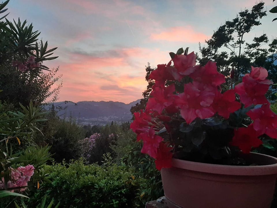 4- sunset