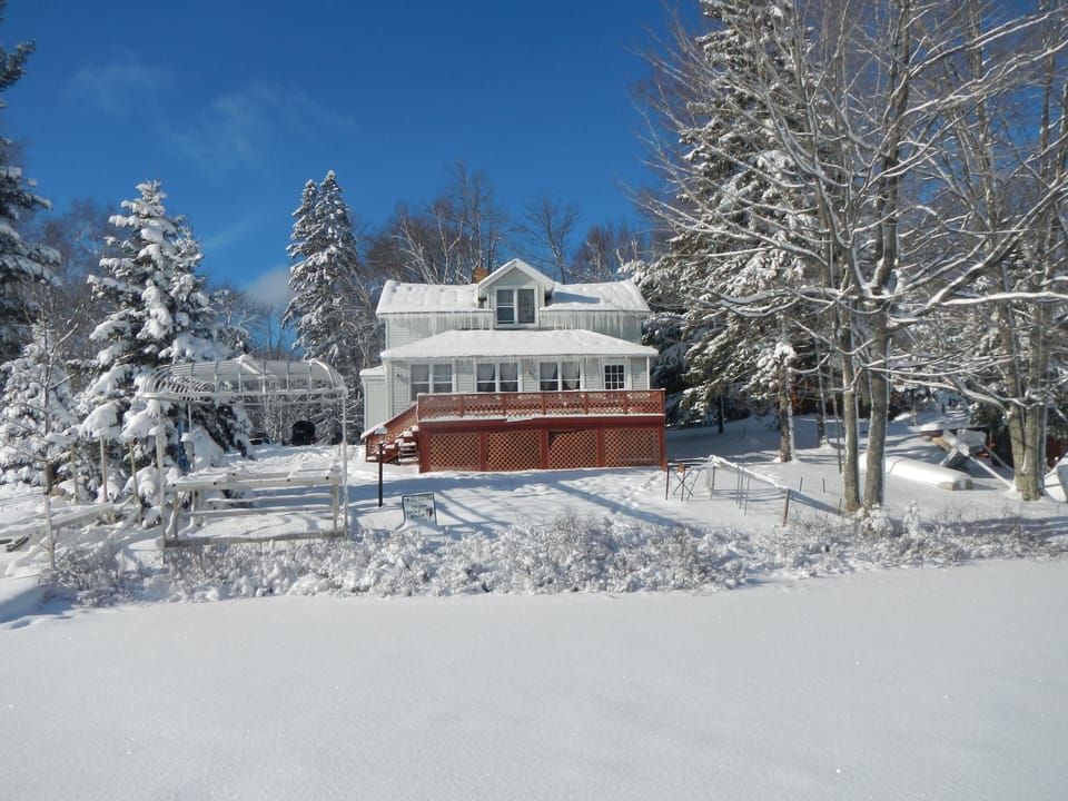 Winter from the lake