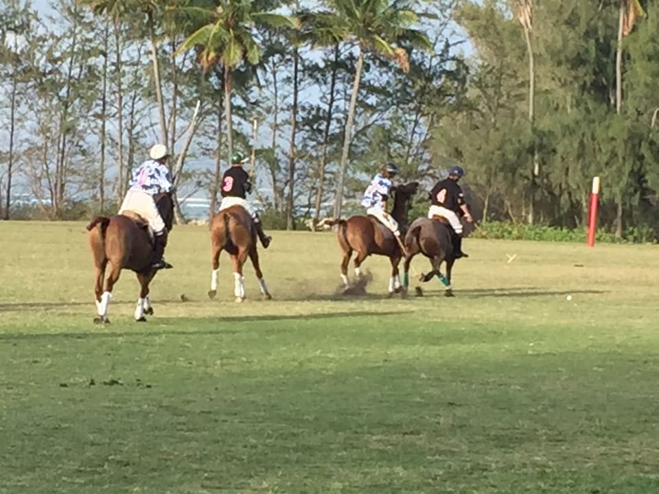 During the polo season walk next door and spend Sunday enjoying the matches.
