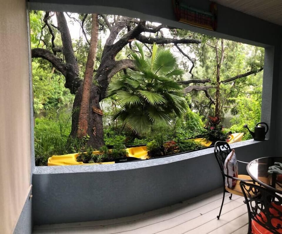 Back Patio