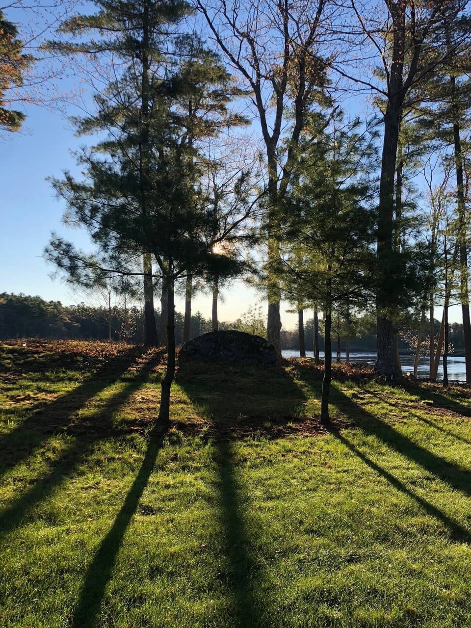 Morning sun coming up on the property.