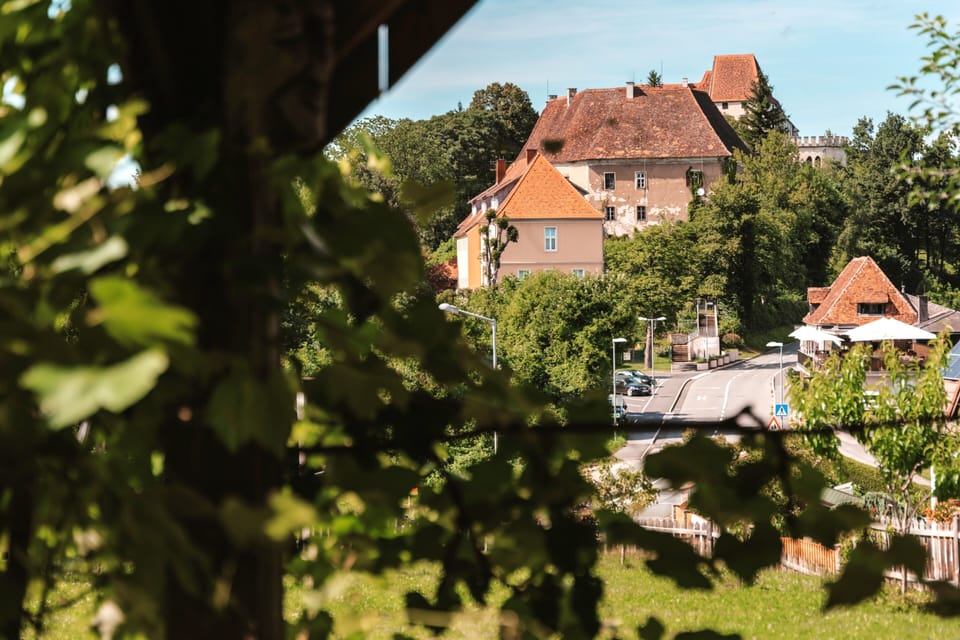 Blick aus der Weinlaube zum Schloss Seggau