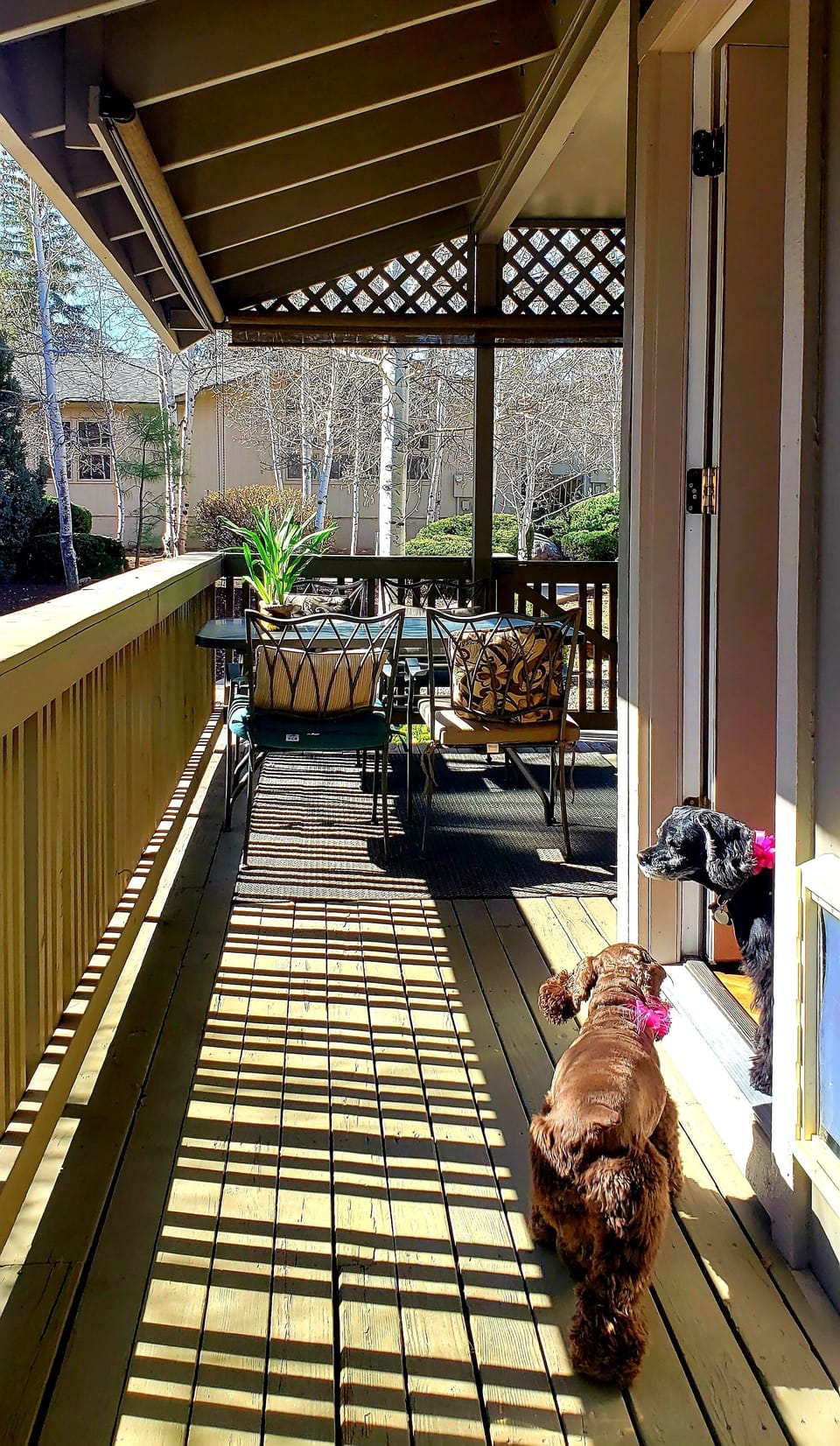 Spacious deck for furbabies & drinking coffee in the am & right off the kitchen