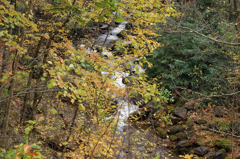 Small waterfall you hear from the porch.  