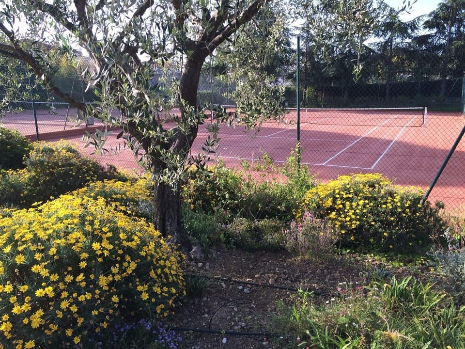 Sport court