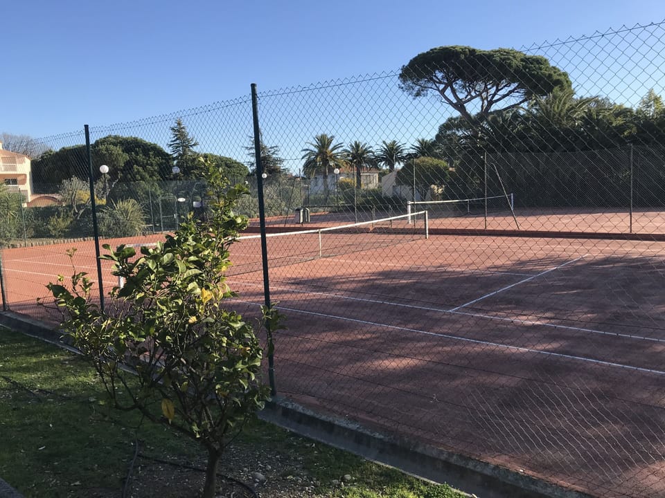 Sport court
