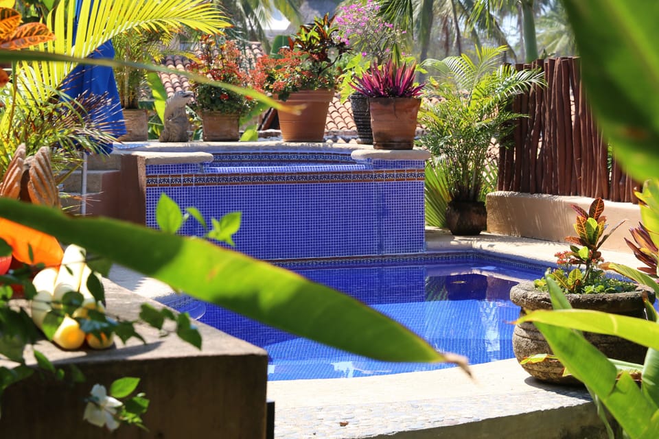 Pool with waterfall