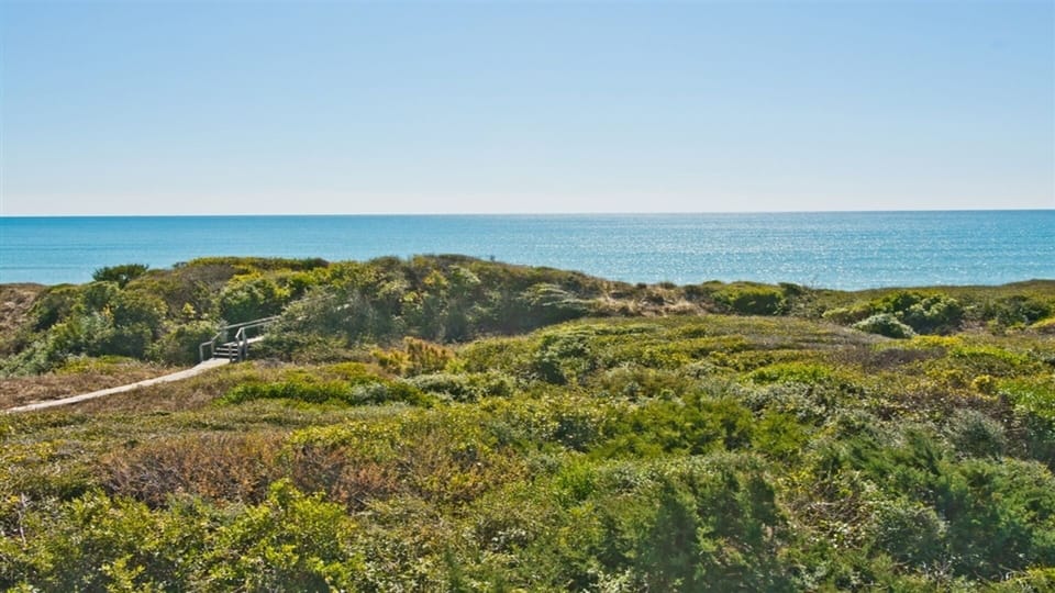 Southern view from deck