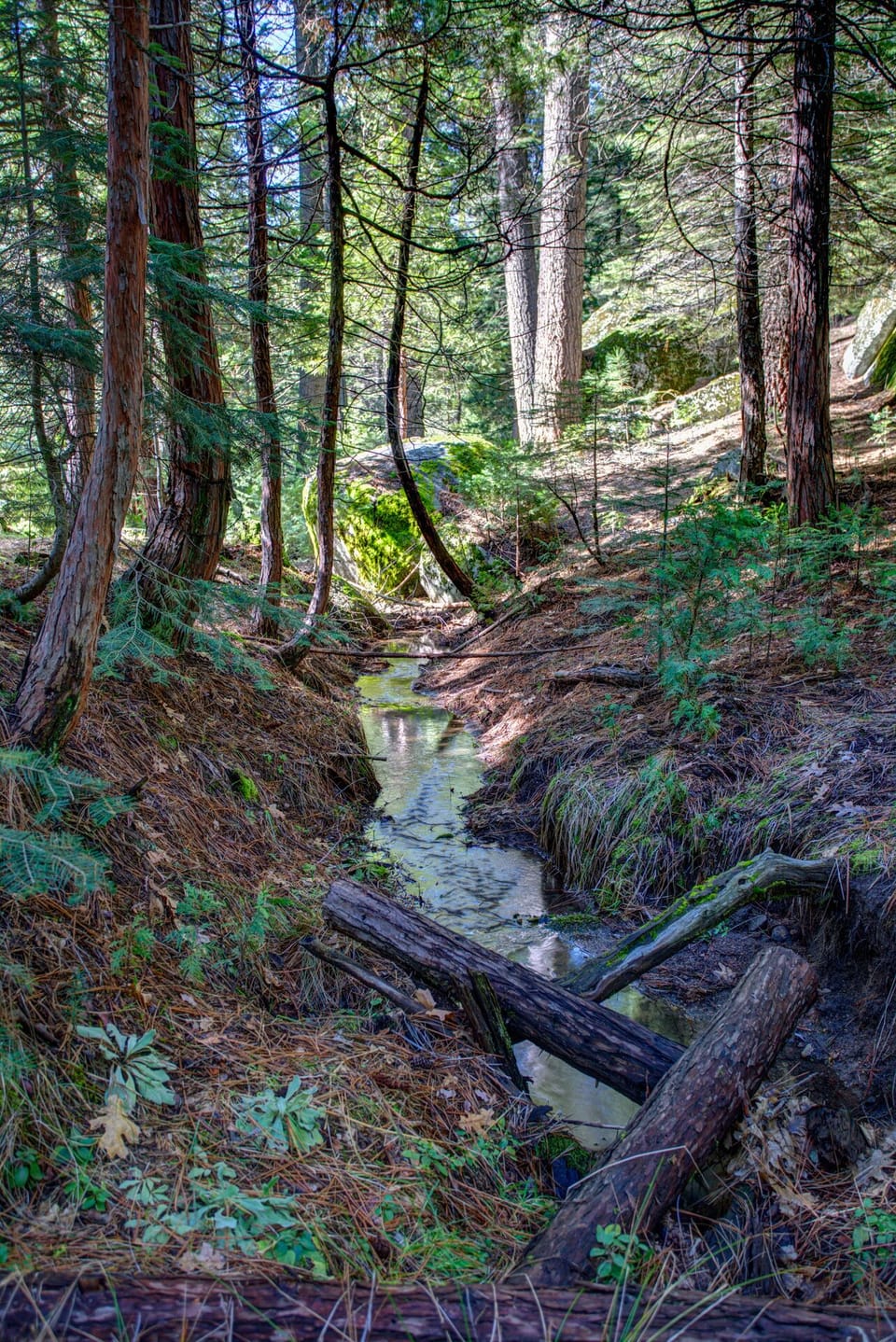 Seasonal Creek