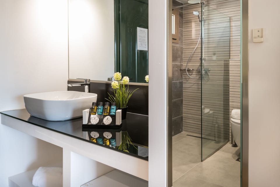 Superior Double or Twin Room | Bathroom | Hair dryer, towels