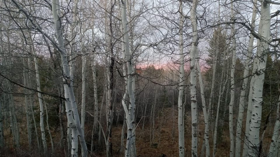 Sunset to the Northwest