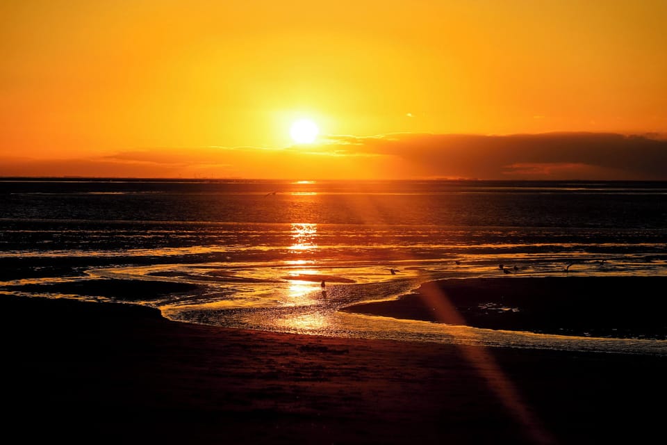 Dog Friendly Family Cottage 2 minutes from our west facing sunset beach