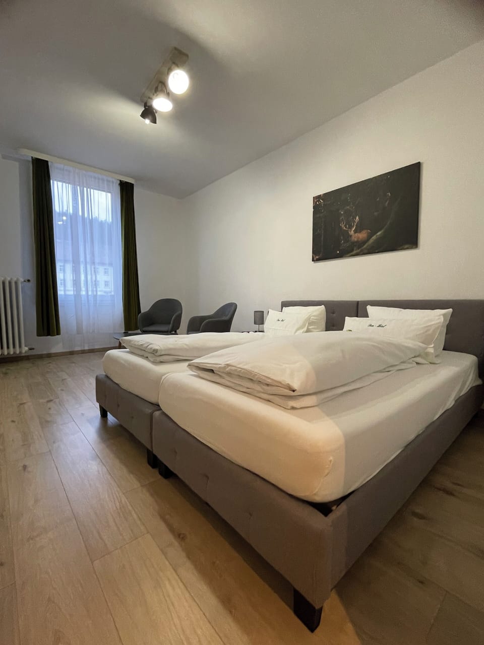 Family Room | Down comforters, free WiFi, bed sheets