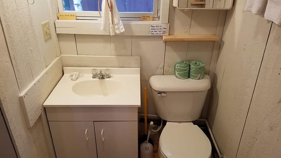 Larger Cabin - Bath with stall shower