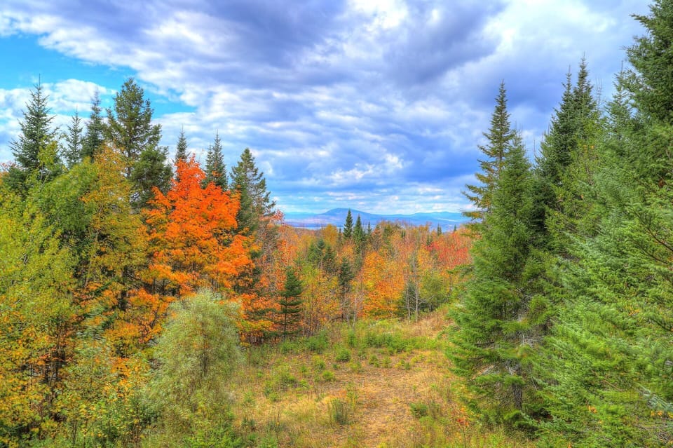 Fall foliage views