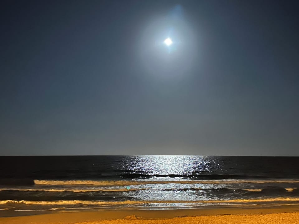 Beautiful evening at the beach
