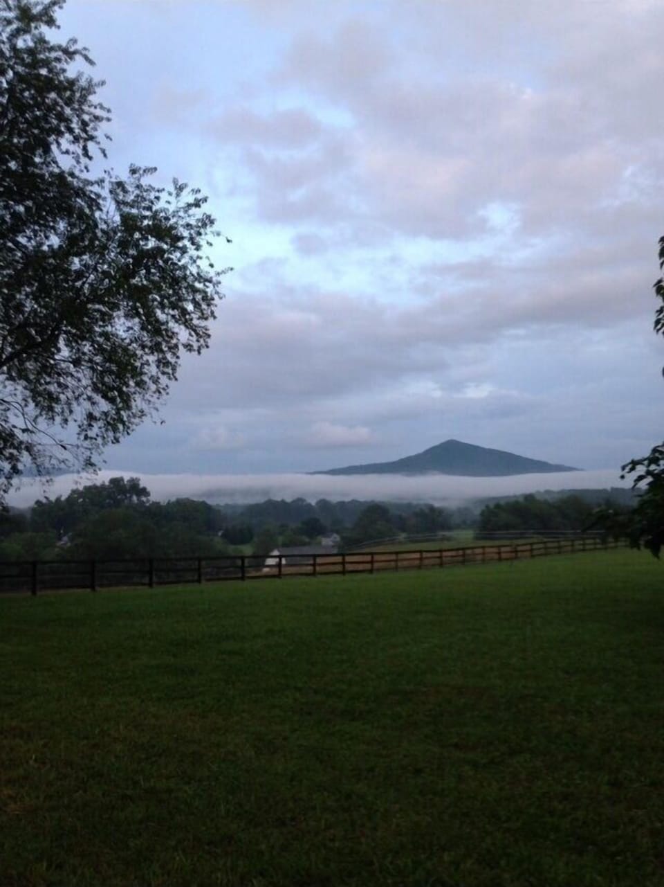 Back yard view