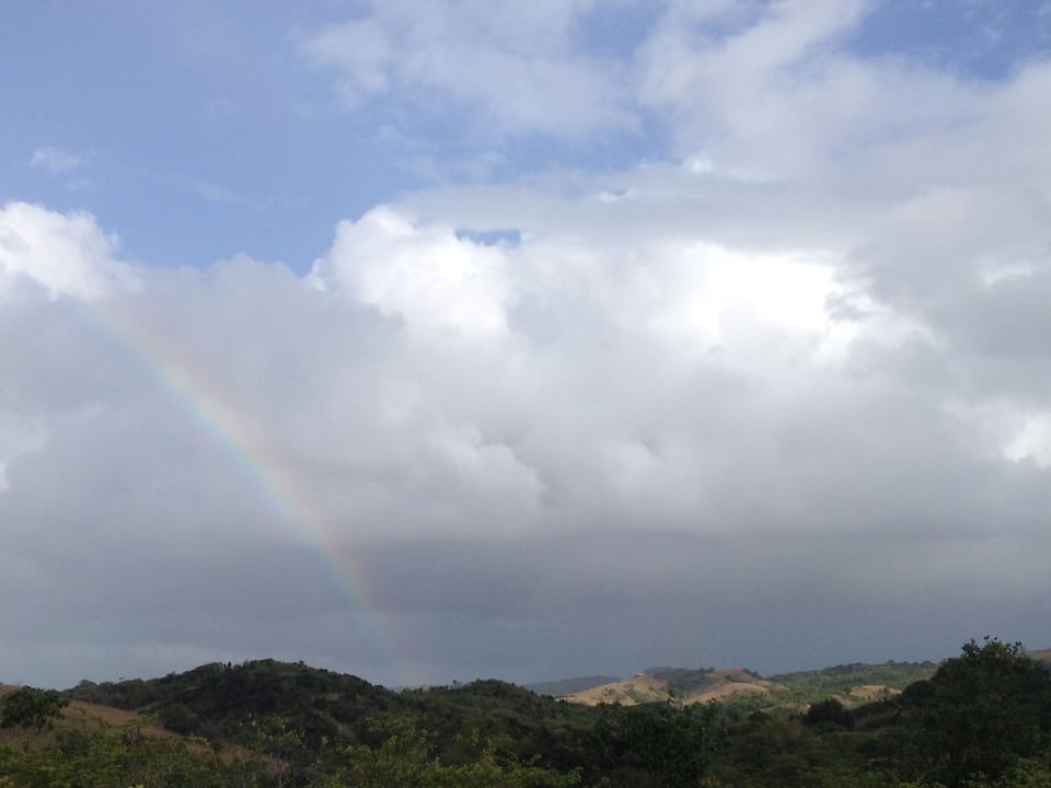 The view from Logwood