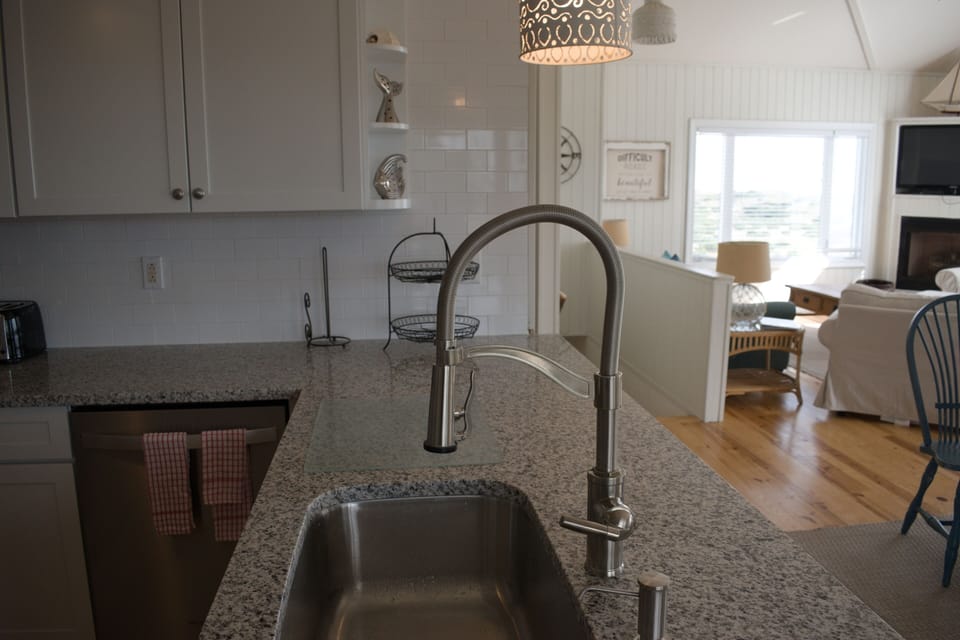 Not sure why, but I just love the kitchen sink fixture we picked.  