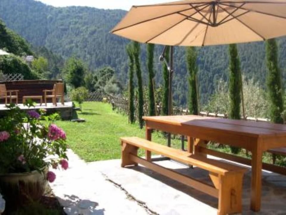 Garden, Park