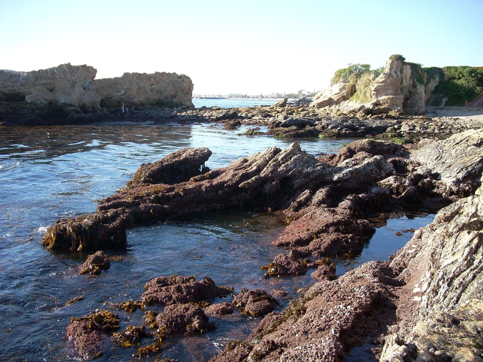 Tide Pools in Corona del Mar