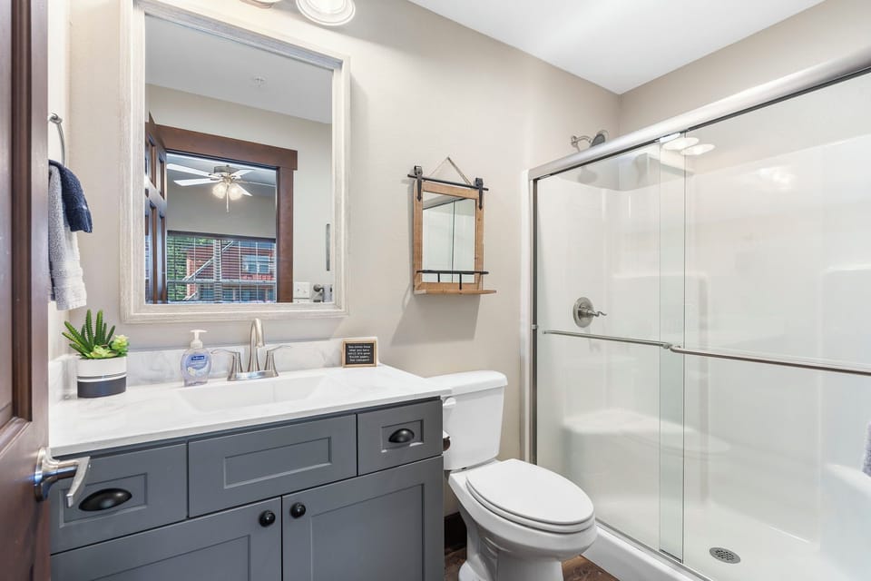 Lower level king bathroom