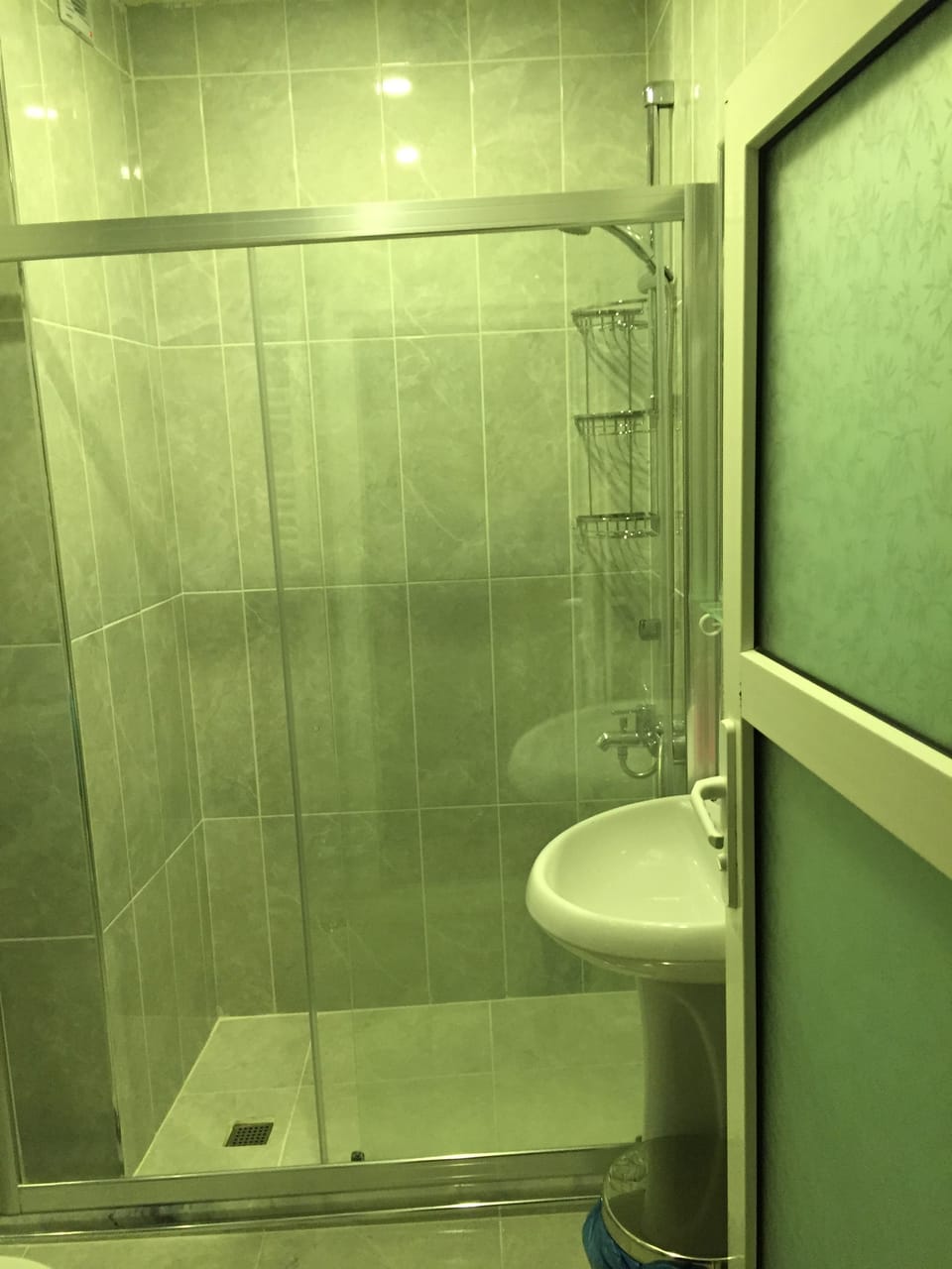 Hair dryer, towels, shampoo, toilet paper