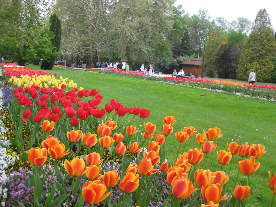 SANTE Hévíz Hotel in Hévíz