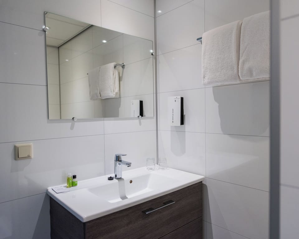 Standard Room, 2 Twin Beds | Bathroom | Shower, hydromassage showerhead, eco-friendly toiletries, hair dryer
