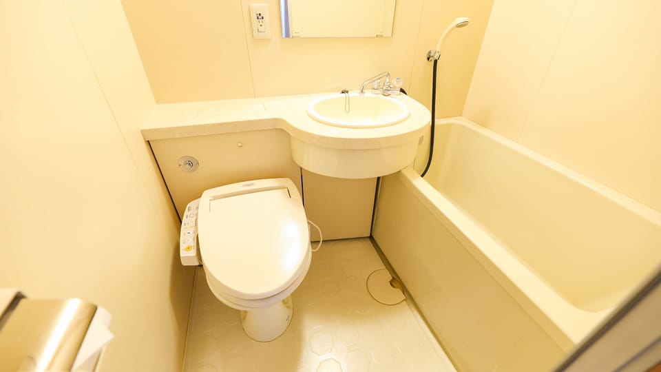 Combined shower/tub, free toiletries, hair dryer, slippers