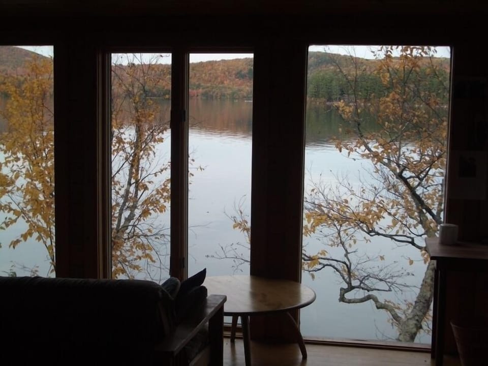 Fall foliage from living room
