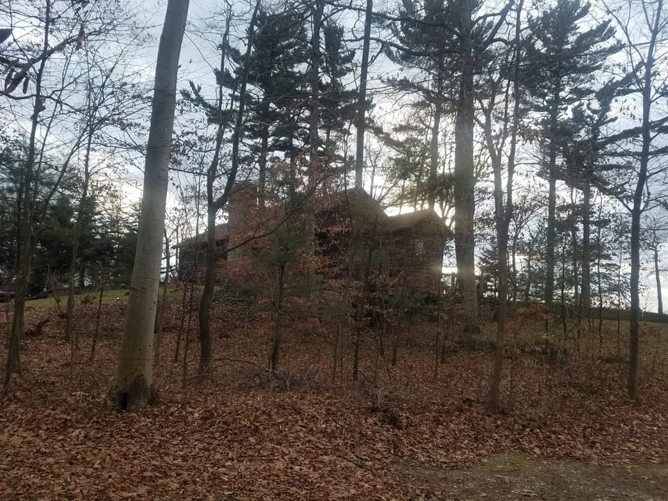 Log House view from neighbors driveway. 