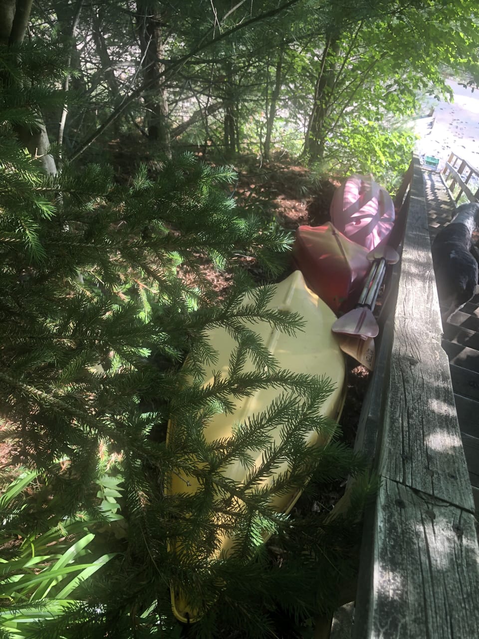 Five kayaks for your enjoyment.