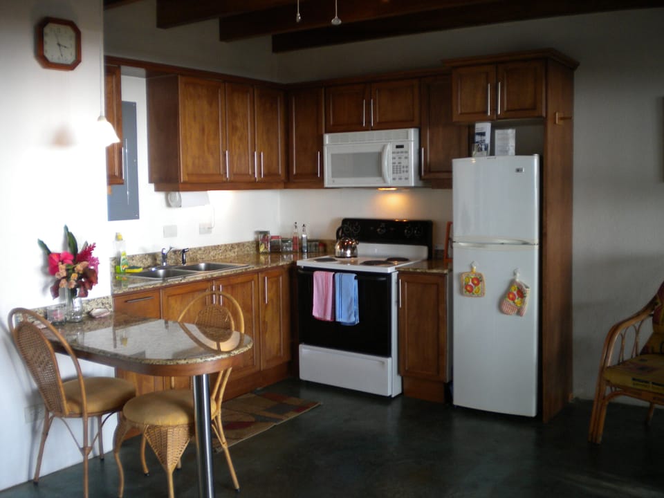 Fully equipped and modern kitchen