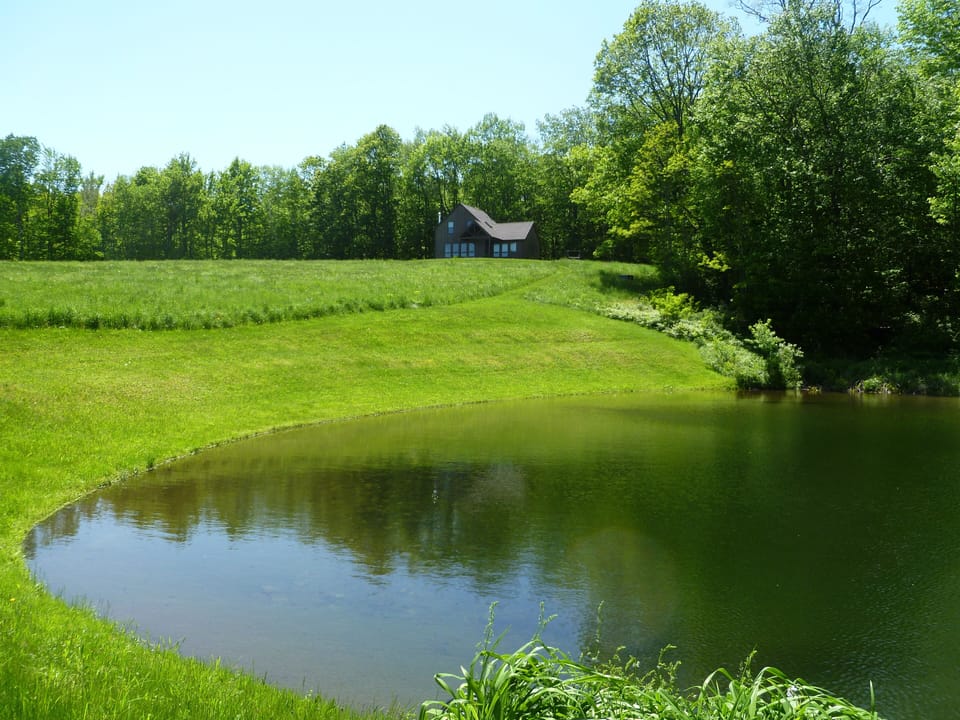 pond and house in summer