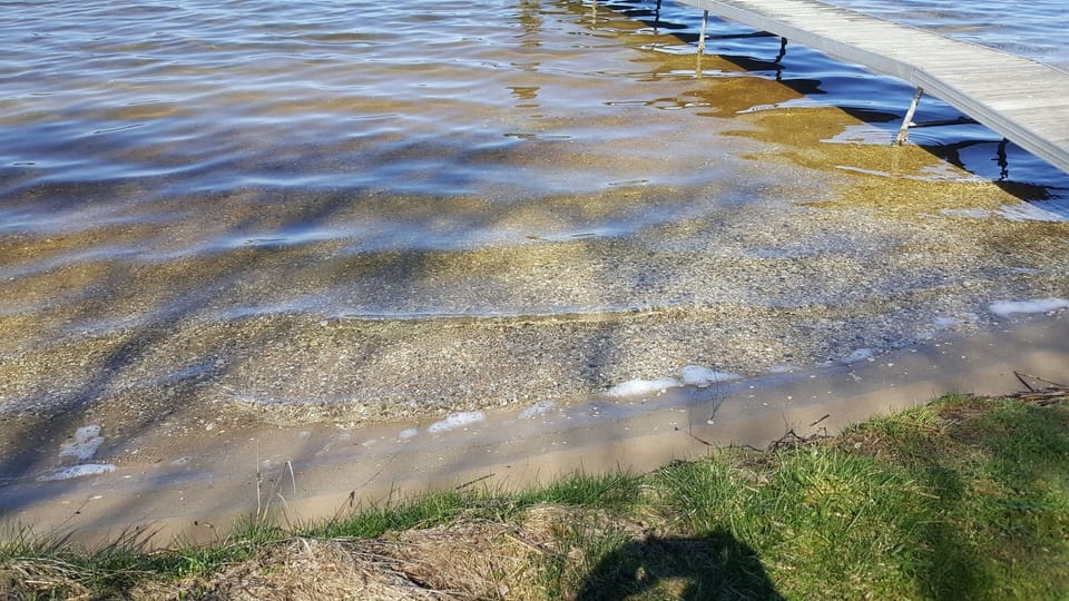 Lower Herring Lake beach in front
