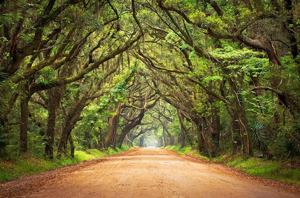 Botany Bay Plantation