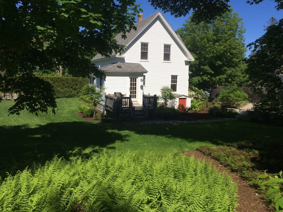 The Back Yard