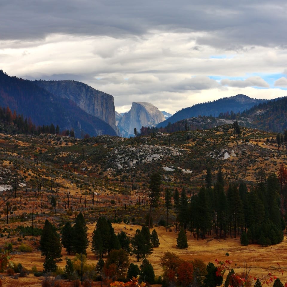 Looks like an illusion, but you can see Half Dome & El Capitan over Big Meadow.