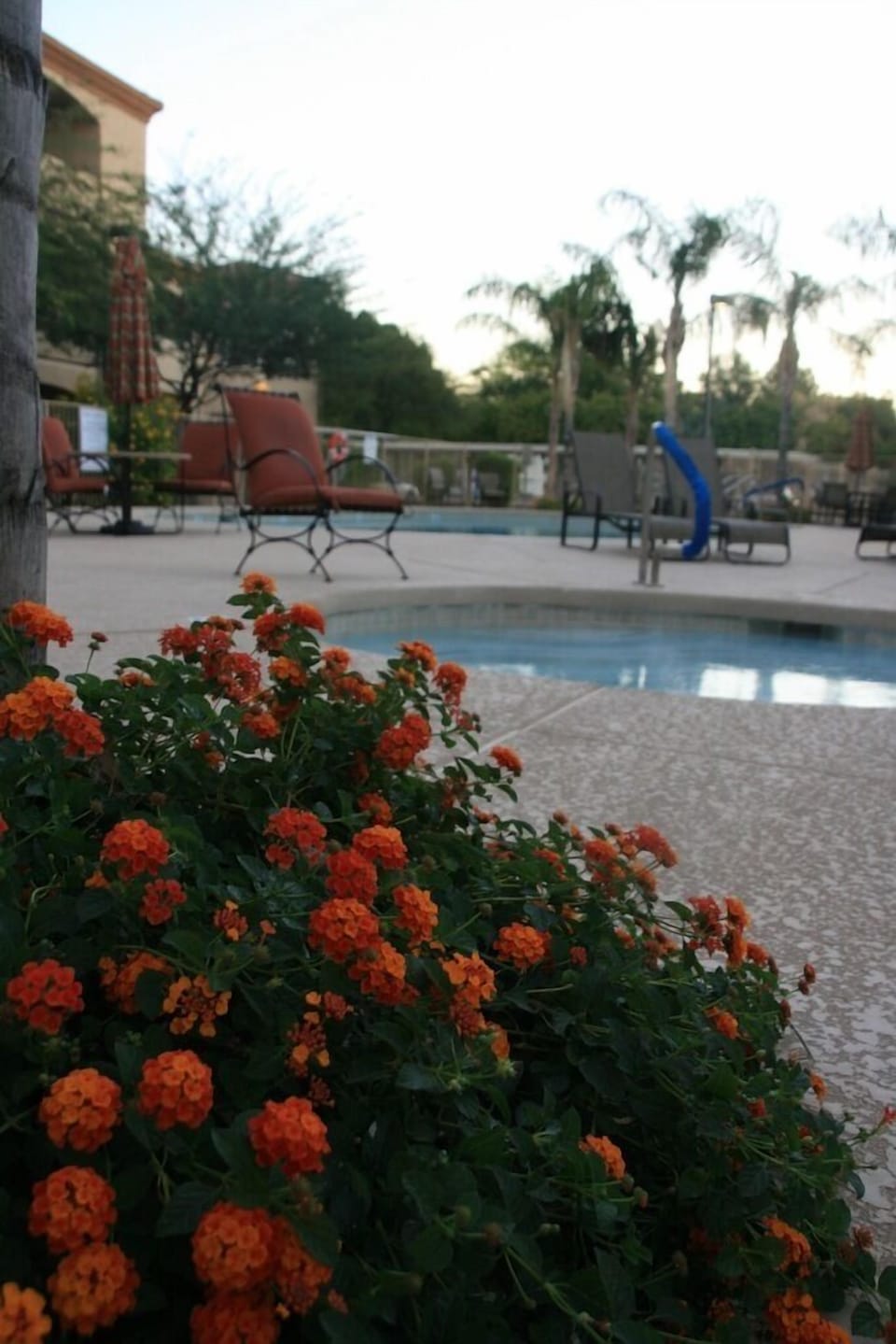Pool and Spa