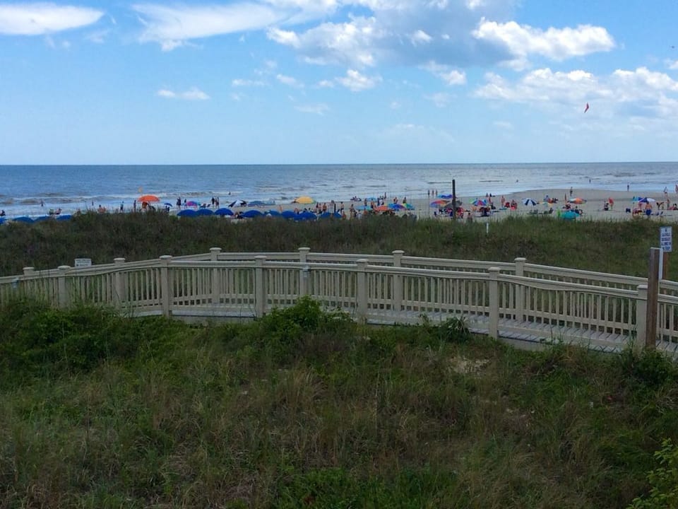 Beautiful Summer Day! 