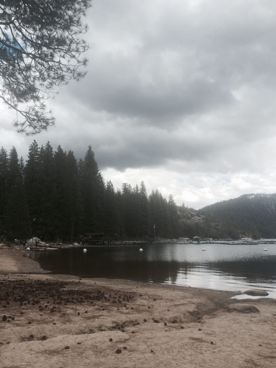 Pinecrest Lake and marina